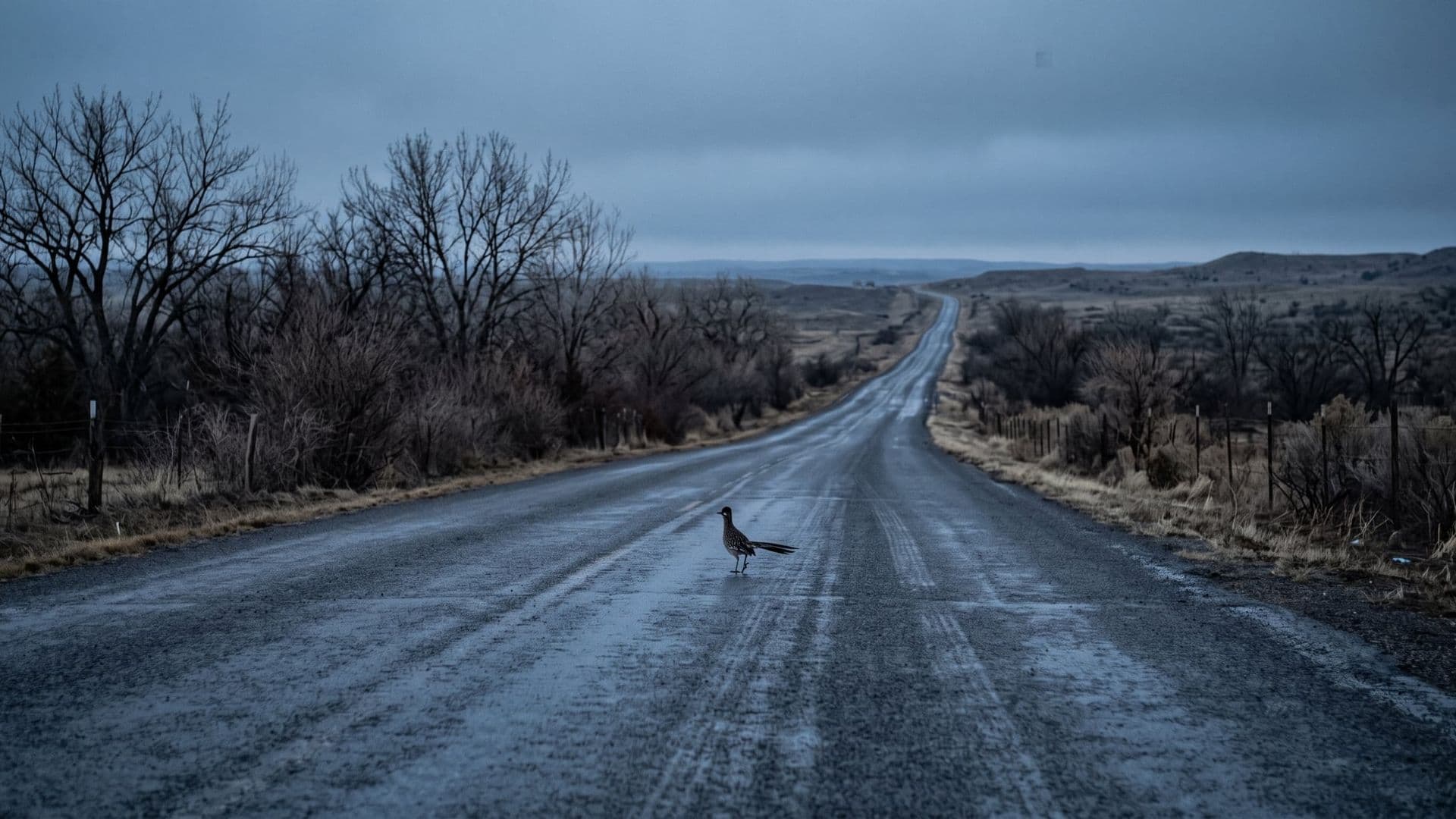 A road runner alone on an empty stretch of wet tarmac at dawn, long empty road ahead, cold blue-grey light